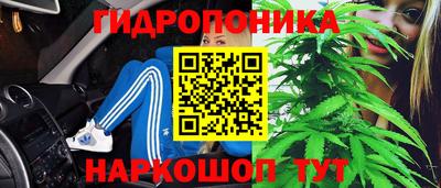 стаф Кунгур