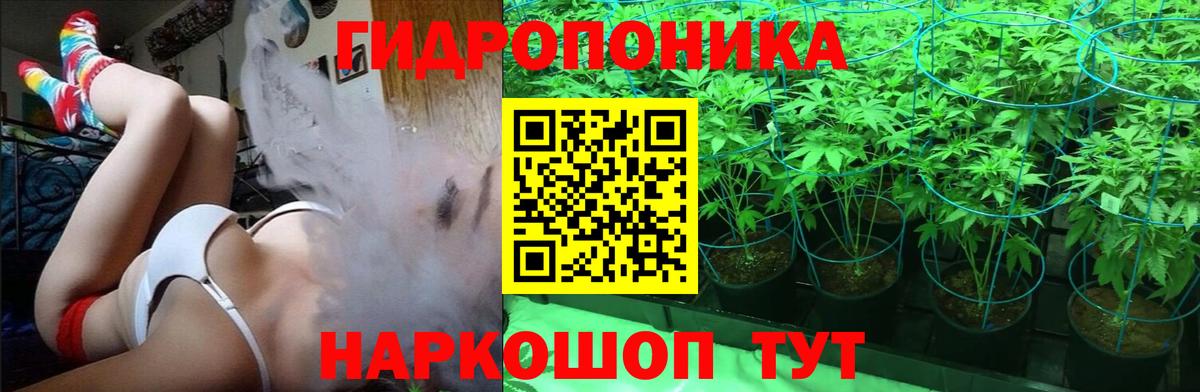 Когалым  Марихуана планчик  Вход с VPN  Шишки марихуана MAZAR  Канабис MAZAR 